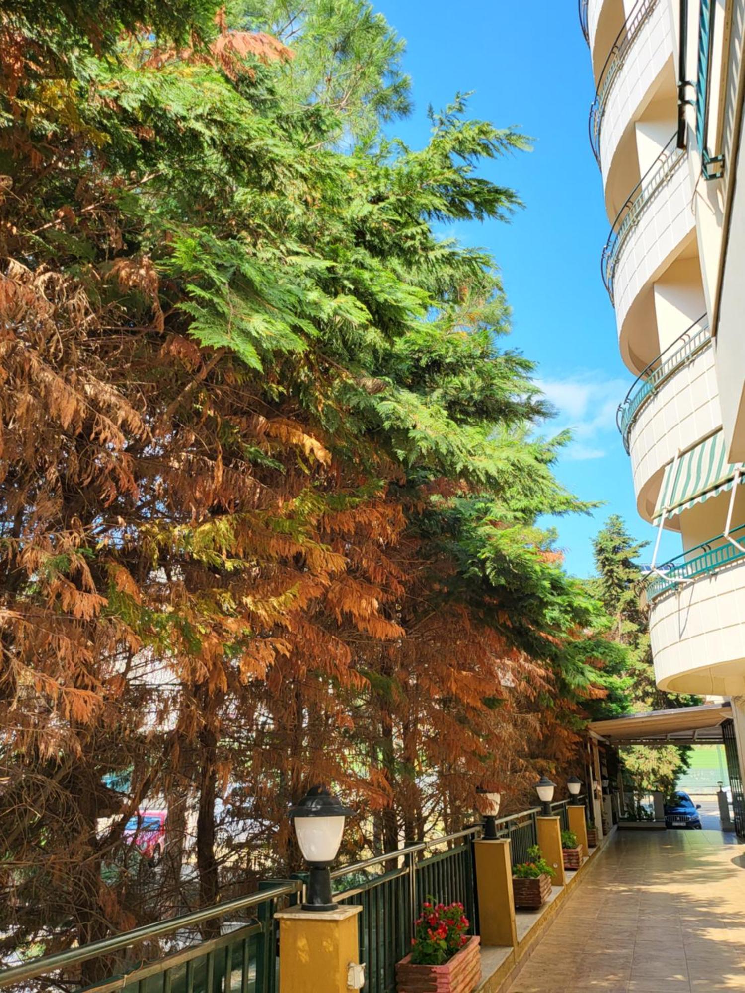 Apartment Ejstel